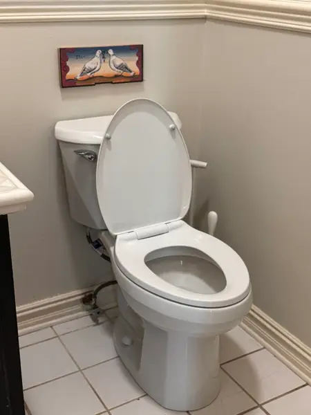Toilet Replacement Service in Monroe