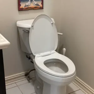 Toilet Replacement Service in Monroe